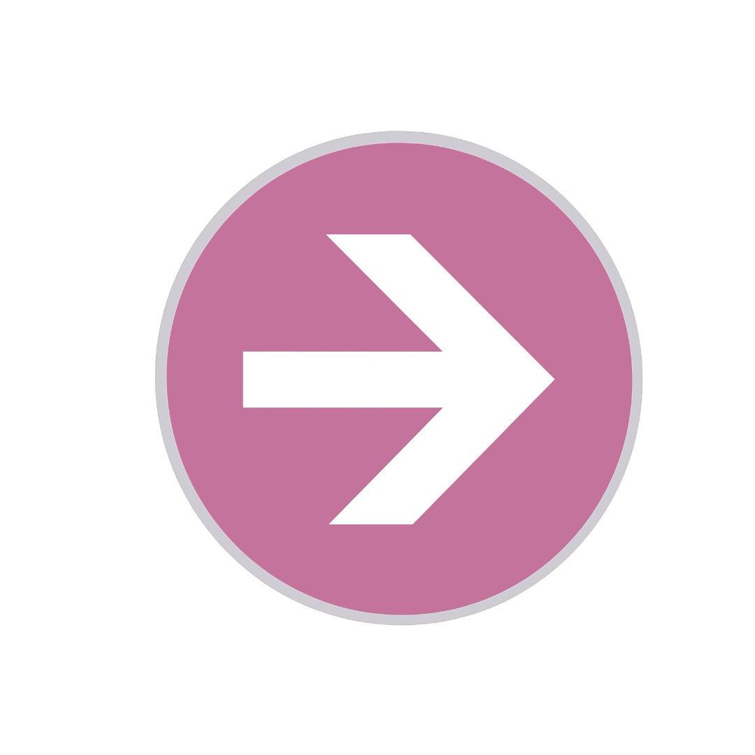 seta (1).png